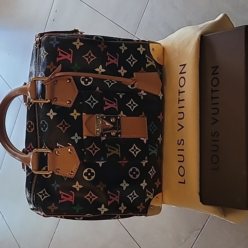 Louis Vuitton Speedy 30 Multicolor